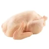 Halal whole chicken, Brazil frozen whole chicken suppliers, frozen whole chicken for export USA