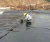 Import HDPE  geomembrane liner for fish shrimp  farm pond from China