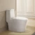 Import HEGII high quality 3.5L water saving siphonic one piece bathroom sanitary ware toilet commode water closet ceramic wc toilet from China