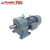 Import High overload torque helical motor for agiator from China