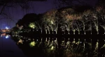 High power LED outdoor lighting underground buried lamp garden light for tree lighting 100w