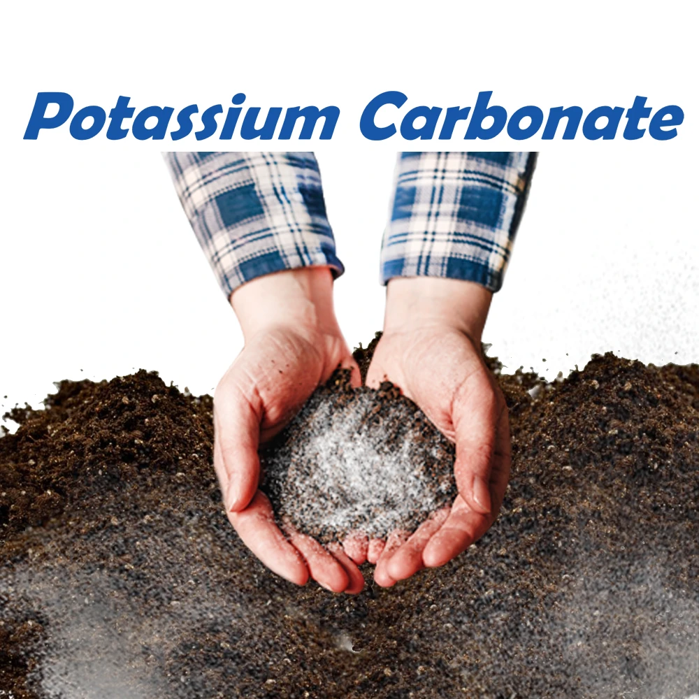High Purity Organic Chemical Formula Potassium Acid Carbonate Potash Fertilizer 99.5%min K2CO3 Powder CAS NO:584-08-7