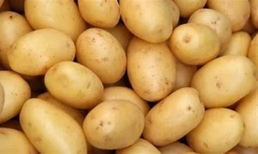 High quality 100% Organic fresh Potatoes from Austria