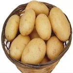 High quality 100% Organic fresh Potatoes from Bangladesh