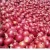 Import High Quality Best Selling Fresh Onions for Bulk Sale from USA