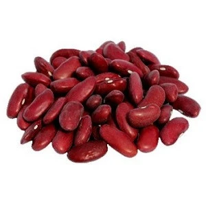 High quality British Dark Red Kidney Bean