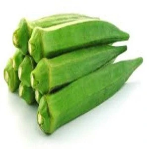 HIGH QUALITY COMPETITIVE PRICE FRESH OKRA