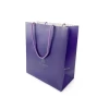 High Quality Customized Retail Shopping Paper Bags with Rope Handles Screen-Printed Featuring Recycled Materials