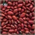 Import High quality low price healthy food nutritious natural soya beans white and red kidney beans from China