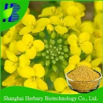 High quality rape pollen