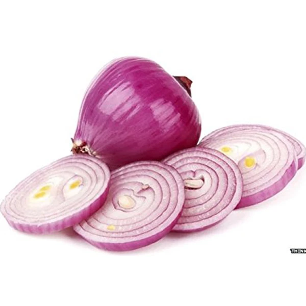 High Quality Red Fresh Onion Export