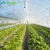 Import High strength Agricultural poly tunnel Green House from China