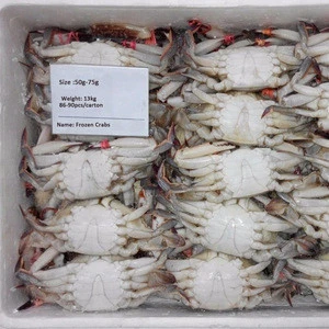 Highest Quality Seafood Red Live Snow Crab For Sale