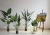 Import Home decorations skybird artificial bird of paradise high quality banana tree real touch banana plant from China