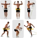 Home Gym Accessories 150LBS Resistance Bands Sets, Exercise Lifting Bands Resistant New Resistance Bands Fitness Arrivals 2020