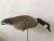 Import Hot Buy hunting decoys , XPE foam/EVA plastic/Rubber decoy goose for outdoor hunting from China