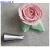 Import Hot Sale Baking Tools Sets Russian Nozzle Icing Piping Tips Bakes Flower Nozzles Cupcake Decorating Kit Cream Nozzle Sets from China