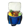 Hot sale frozen food thermal ice insulated delivery lunch food cooler bag