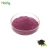 Import hot sale herb extract powder pure nature Anthocyanins fruit juice powder pigment Elderberry Fruit Powder from China