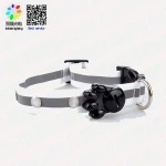 hot sale high quality Pet Dog products LED Flash dog Collars leads soft Nylon pet goods small cat large Animal designs product