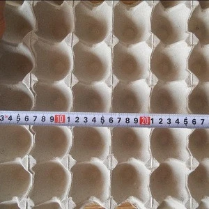 Hot Sale Paper Pulp Mold White Purple Egg Trays For Poultry Farm