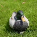 Hot sale Plastic PE Material Duck Hunting Decoy