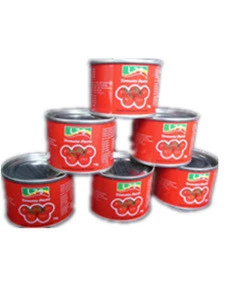 hot sell 140g double concentrated canned tomato paste
