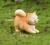 Import hot selling yellow Akita dogs garden animals miniature sculpture resin dog statues from China