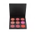 Import Hot Trending 9 Color High Pigment Blusher Vendor Blush Palette from China