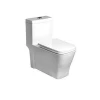 HS1030 dual flush modern one piece toilet bowl