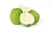 Import Indian Fresh Guava from India