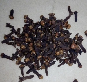 Indonesian Clove | Dried Clove | Clove Spice