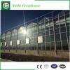 Intelligent Temperature Control Plastic Film Greenhouse, Hydroponic Systems, Hydroponic Lettuce Seeds