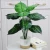 Import Interior decoration of Nordic bonsai ornaments artificial plant artificial plants with pot in decor from China