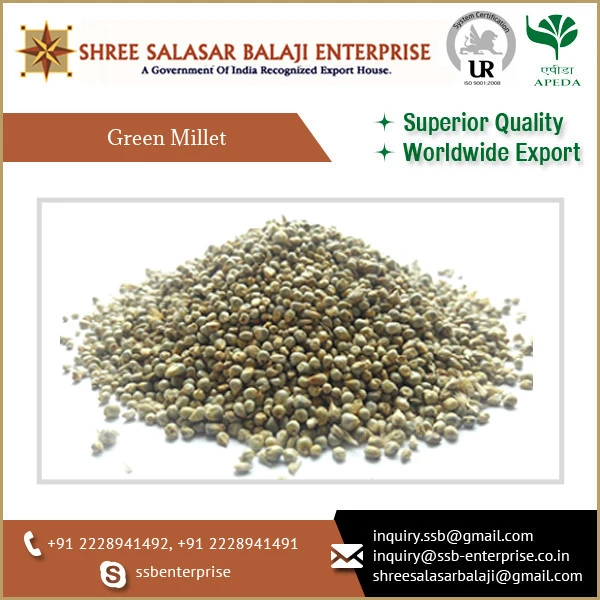 Leading Exporter of Instant Nutritious Cereal Green Millet Grains on Global High Demand