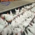 Leon series best price chicken Broiler poultry farm equipment with CE
