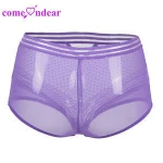 Low MOQ In Stock OEM Purple Fashion Lace Underwear for Woman