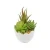 Import Low Price Wholesale Artificial Succulent Bonsai Desk Ornaments Green Succulents Ornaments from China