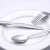 Luxury Cutlery Camping Stainless Steel Wedding Silverware Flatware Set
