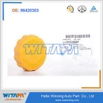 Manufacture 96420303 GM Deawoo Chevrolet Optra Car Spare parts Water Tank Cover