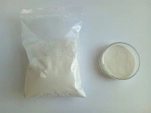 Manufacturer Supply Undenatured Collagen Type II  for Joint