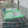 Metal cheap commercial wholesale rabbit cage breeding / rabbit farming cages