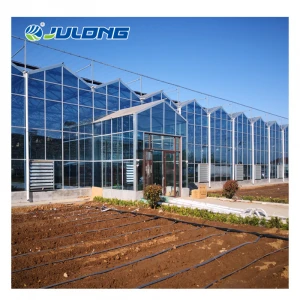 Modern steel structure  intelligent automatic polytunnel  agricultural commercial  glass greenhouse