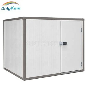 Most popular modular cold room for fruit, vegetable and food