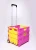 Import Multicolor portable wholesale plastic trolley mini folding shopping cart from China
