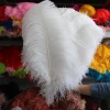 natural factory wholesale Decorative large Ostrich feather Plume for Carnival Halloween Party Wedding