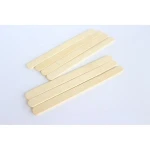 Natural magnum ice cream art and craft from ice cream sticks