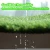 Import New Anti-Uv International Certifications Soccer Mat Artificial Grass Turf Lawn from China