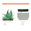 New Color Mini Artificial Agave Succulent Plants In Plastic Pot HC-SU7416BS-163