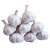 Import New Crop Fresh Garlic At Best Price from South Africa